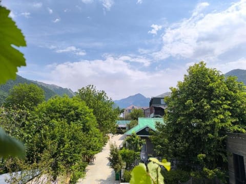 View (from property/room)