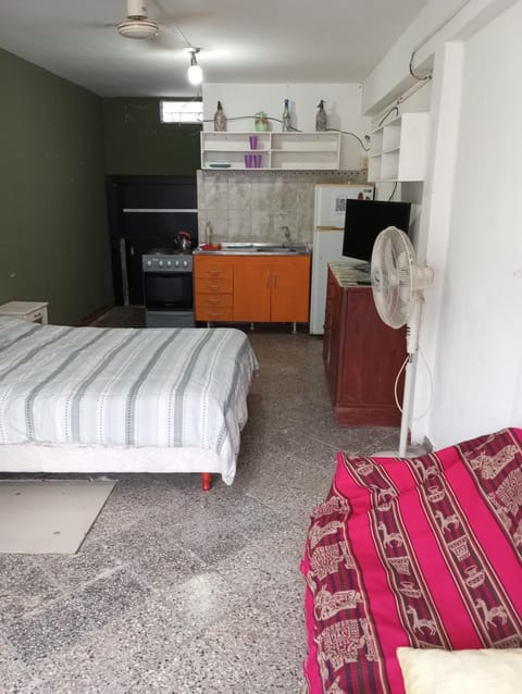 Bed, Kitchen or kitchenette, Photo of the whole room, Bedroom, oven, pet friendly