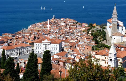 Top Line Apartments Apartment in Piran