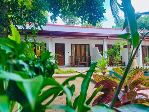 Property building, Spring, Day, Garden, Garden view