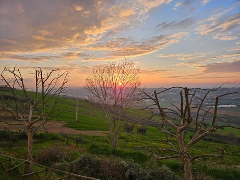 Natural landscape