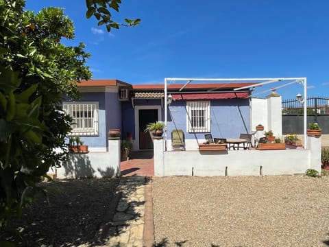 Patio, Garden