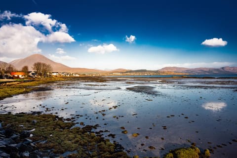 The Otter Lodge Apartment in Scotland
