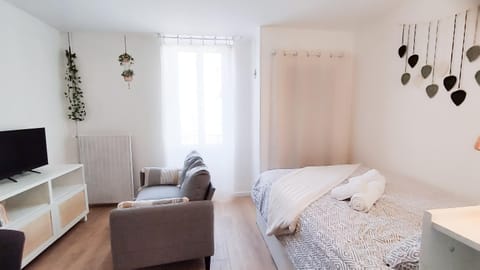 Bed, TV and multimedia, Living room, Photo of the whole room, Seating area, Bedroom