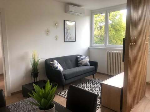 Living room, air conditioner