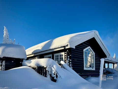 Property building, Winter, Skiing