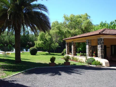 Garden view
