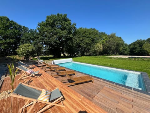 Natural landscape, Garden, Swimming pool, sunbed