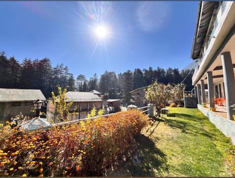 Property view