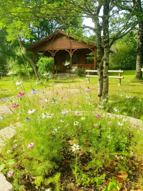 Natural landscape