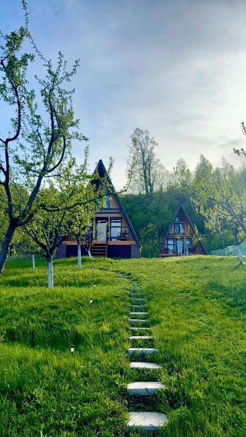 Spring, Day, Natural landscape, Garden view