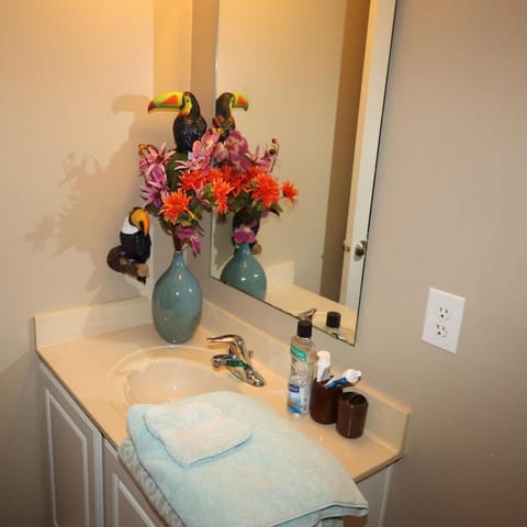 6BR Executive Home with Gym,Office,EV Charger Designed for Living, not Just Staying House in Carmel