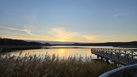 Lake view, Sunset