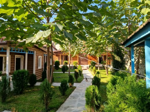 Property building, Day, Garden, Garden view