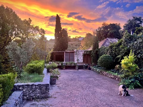 Property building, Sunset