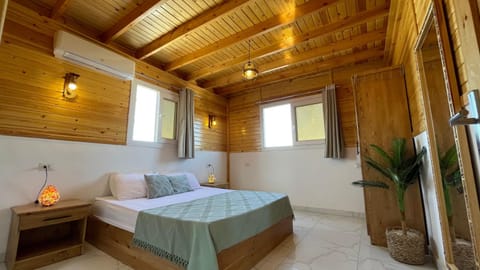 Bed, Photo of the whole room, Bedroom, wardrobe, air conditioner