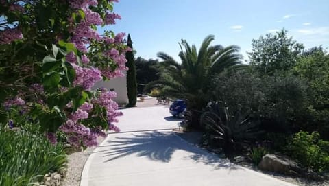 Facade/entrance, Garden, Garden view, Parking