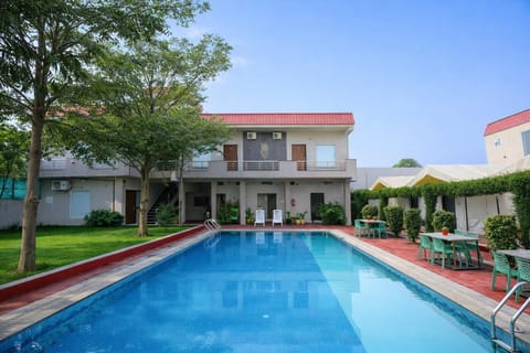 Garden, Swimming pool, sunbed