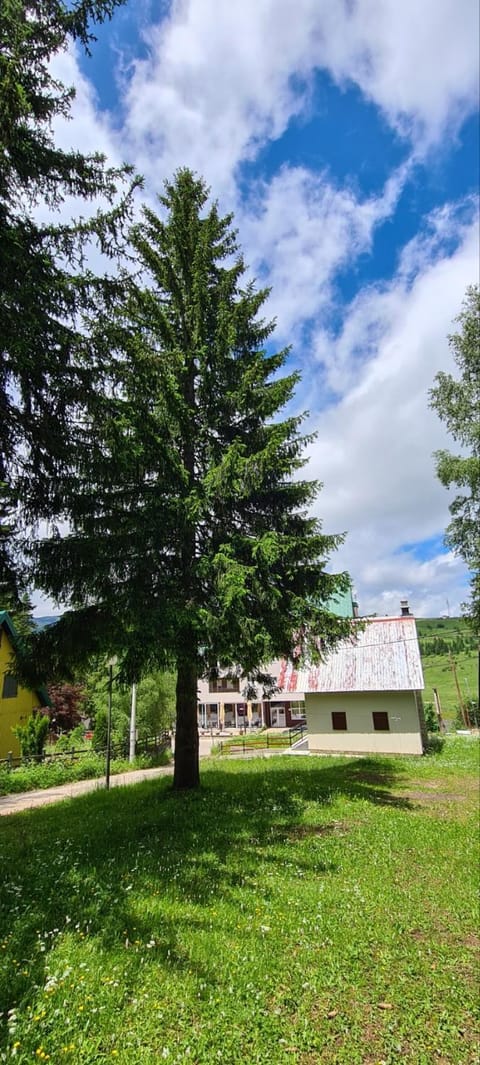 Holiday Home Stevas House in Montenegro