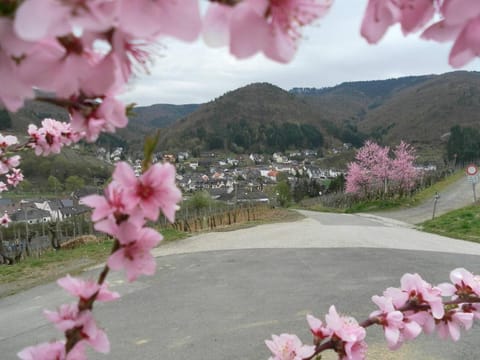 Spring, Natural landscape, Mountain view