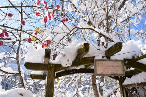 Klampererhof Farm Stay in Salzburgerland