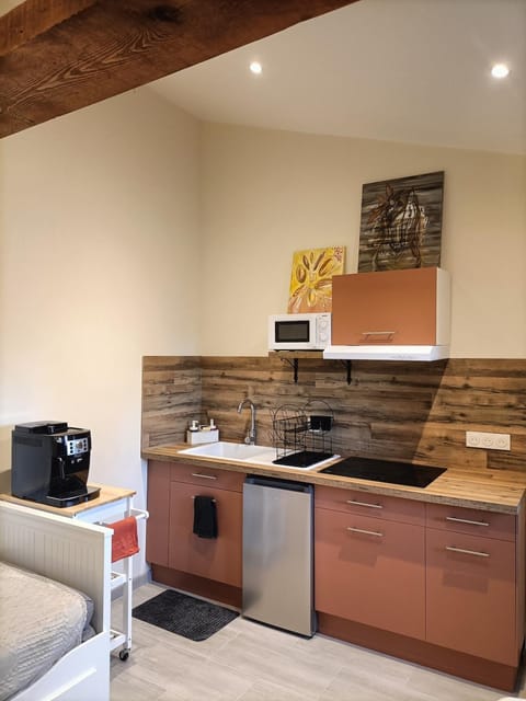 Kitchen or kitchenette, stove