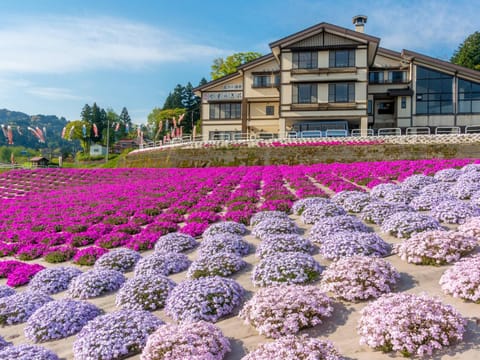 Property building, Natural landscape, Garden