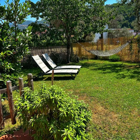 Natural landscape, Garden, Garden view, sunbed