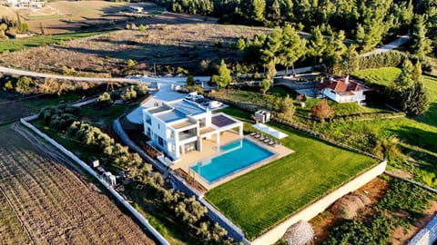 Natural landscape, Bird's eye view, Garden, Garden, Swimming pool