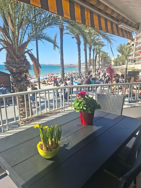 Summer, Balcony/Terrace, Sea view