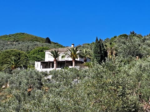 Property building, Natural landscape, Mountain view