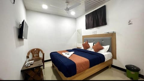 Bed, TV and multimedia, Photo of the whole room, fireplace, air conditioner