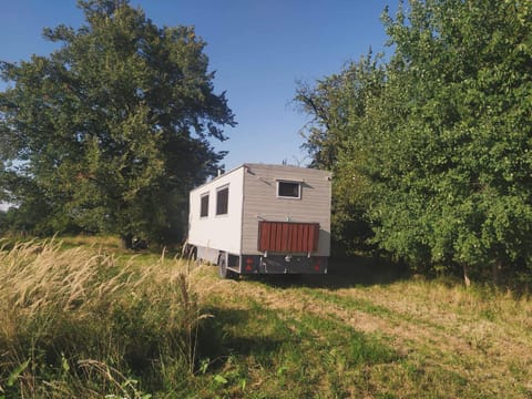 Property building, Garden view