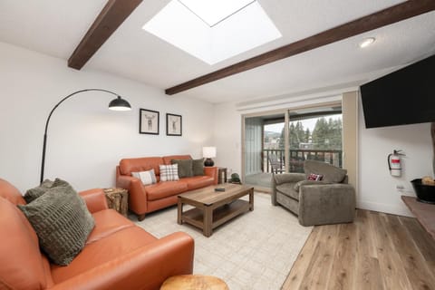 Day, TV and multimedia, Living room, Seating area, fireplace, furniture