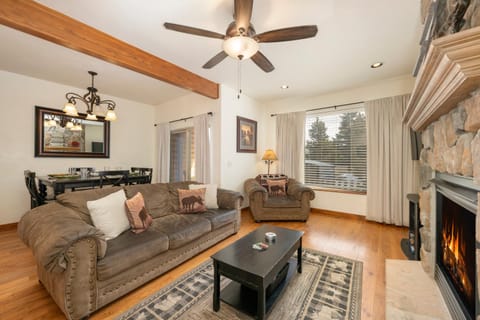 Day, Living room, Dining area, fireplace, furniture