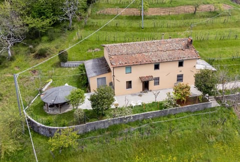 Property building, Spring, Day, Natural landscape, Garden, Garden view, Landmark view