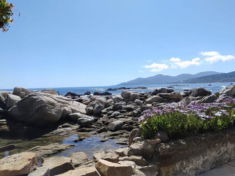 Day, Sea view