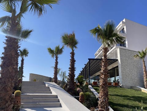 Property building, Facade/entrance, Garden