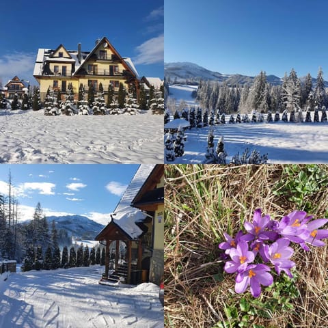 Day, Natural landscape, Winter, Mountain view