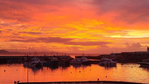 The Garden Room at Rivendell Apartment in Lyme Regis