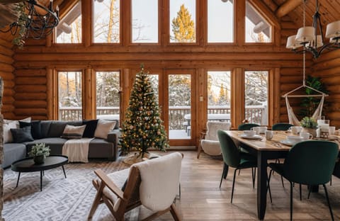 Natural landscape, Winter, View (from property/room), Living room, Photo of the whole room, Dining area