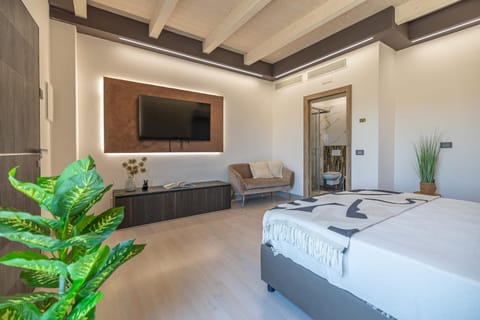 Bed, TV and multimedia, Living room, Seating area, Bedroom