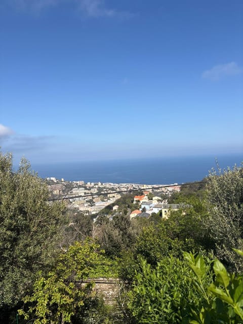 Sea view
