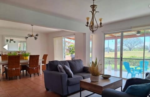 Living room, Decorative detail, Dining area