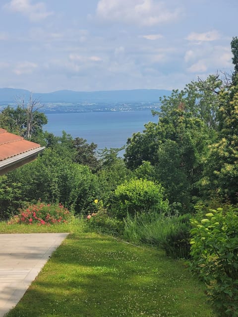 Day, Natural landscape, Garden, Garden, Garden view, Garden view, Lake view, Lake view