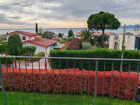 Lake view