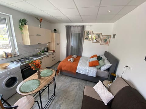 Kitchen or kitchenette, Living room, Photo of the whole room, Seating area, Dining area, Bedroom, minibar, washing machine
