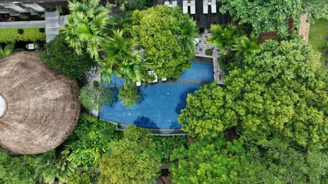 Bird's eye view, Swimming pool