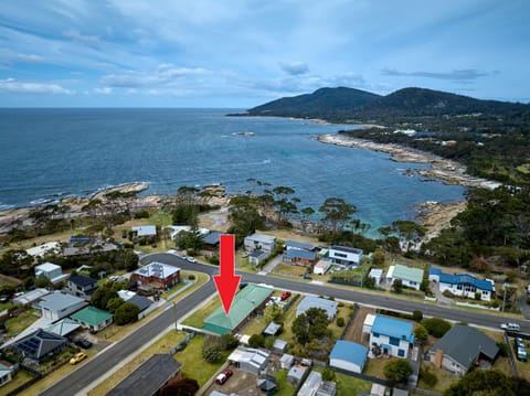 Bird's eye view, Location