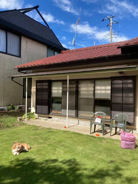 Property building, Spring, Day, Garden, Garden view